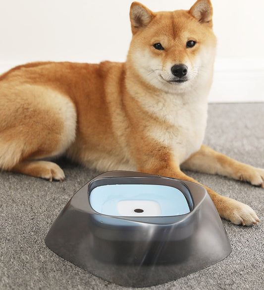 Pet Dog Bowl Floating Not Wetting Mouth Cat , No Spill Drinking Water Feeder