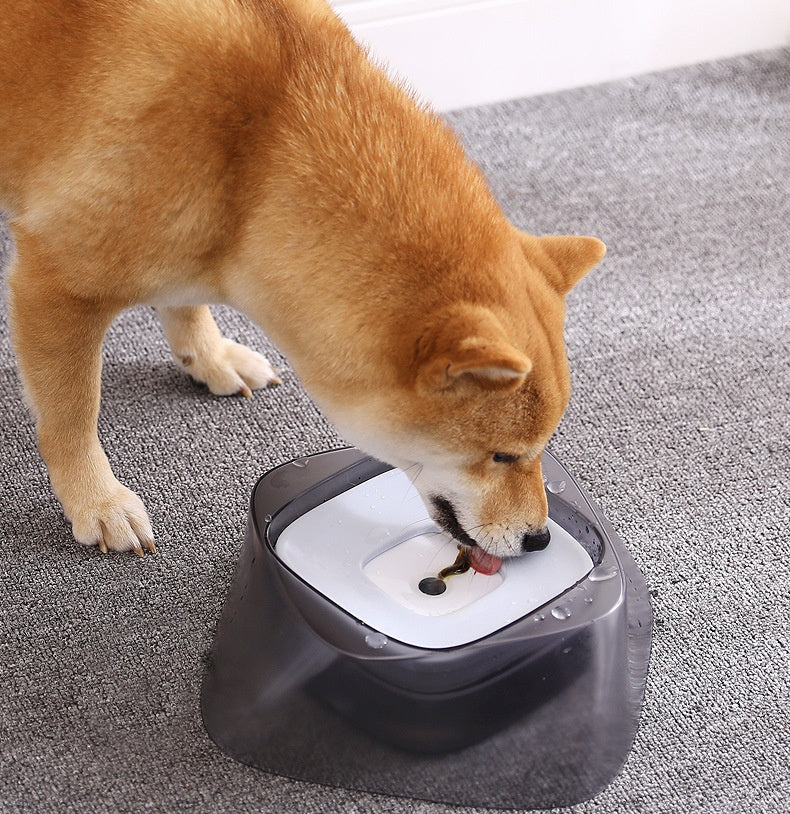 Pet Dog Bowl Floating Not Wetting Mouth Cat , No Spill Drinking Water Feeder