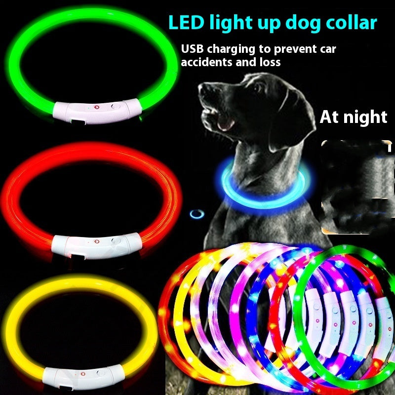 Glowing pet dog collars USB Charging LED